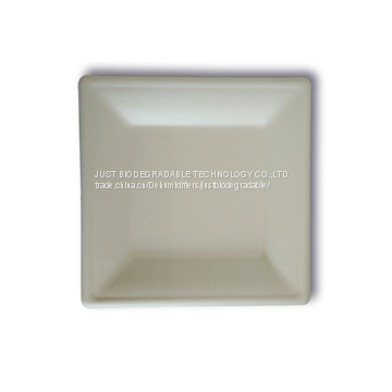 JUST disposable paper pulp bagasse tableware Square Plate10