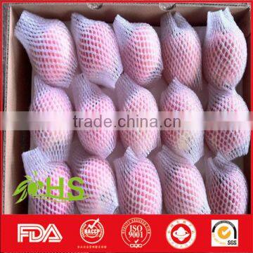 Wholesale Price of Fuji Apples From China photo-5