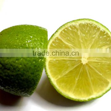 High Quality Green LEMON