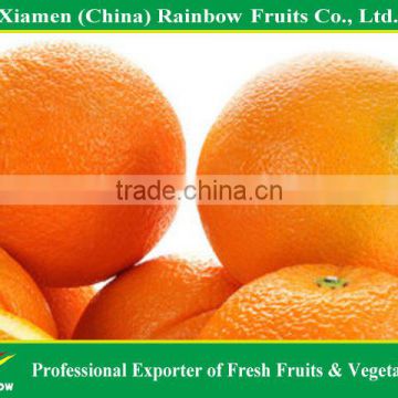 Jiangxi fresh sweet honey navel orange mandarin for fresh fruit importers