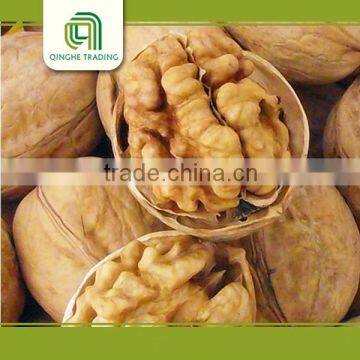 raw walnut with shell and walnut kernels sorting for sale