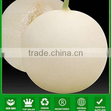 NSM251 Lingyi Hybrid seeds vegetable white sweet melon seeds taste good