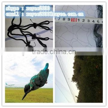 Black color Anti Bird Nylon Netting, Nylon oiseaux Net