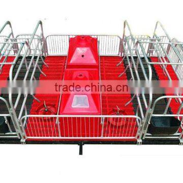 Pig Farming Equipment For Pig Farrow Crates photo-5