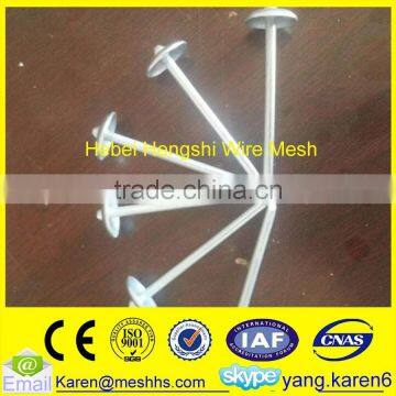 iron umbrella head roofing nails