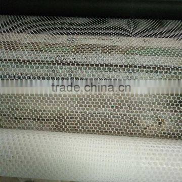 Plastic wire mesh Chicken mesh Pet mesh