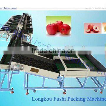 Double Line Electronic Fruit Grading Machine