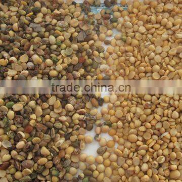 Engineer Oversea Service Available Soybean CCD Color Sorter photo-3