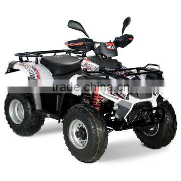 ATV 300 4x4 photo-2