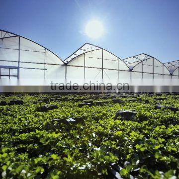 galvanized mental pipe frame polycarbonate Greenhouse PC greenhouse single /multi span with automatic control system