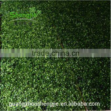 SJLJ013642 Factory Price Artificial Green Wall for Wall Decoration photo-5