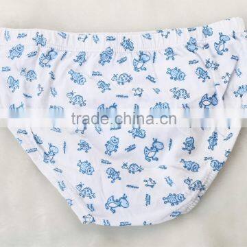 Kids Underwear Wholesale Designed Underwear Teen Sexy Boys Briefs photo-5