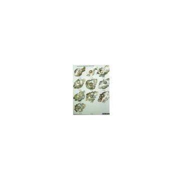 Sell Shell Pendant