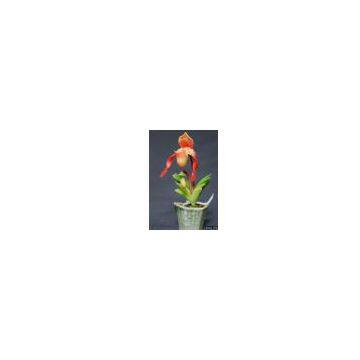 Lady Slipper Miniature Clay Flower (Artificial Flower)