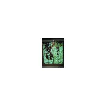Green Onyx panel