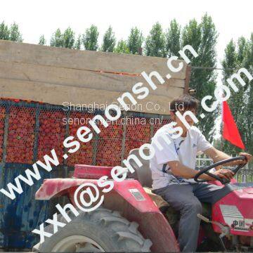 Tomato Paste Production Line 300tons per Day photo-2