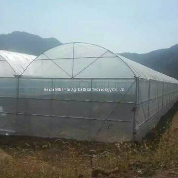 Agricultural Multi-span Hot Galvanized Steel Greenhouse Frame for Tomato photo-5