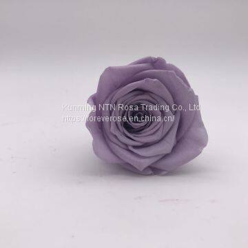 Preserved Flowers for Party Decoration photo-5
