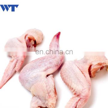 Small chicken wing cutter/Chicken duck wings cutting machine