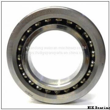 NSK Bearing