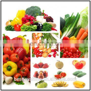 Factory Supply CE Approved Potato Washing Grading Machine Carrot Washing Machine photo-4