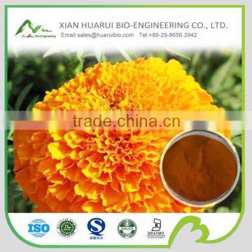 100% natural marigold extract lutein powder 10%