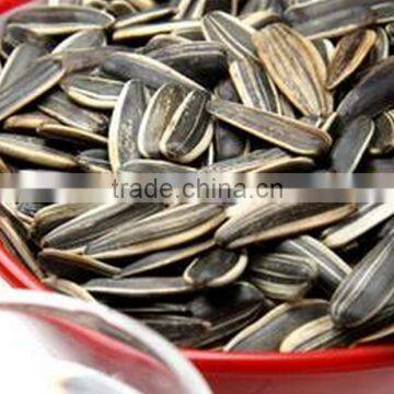 Split Sunflower Seeds Kernel