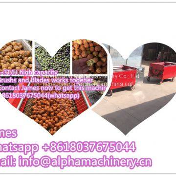 Green Walnut Washing Peeling Machine Walnut Peeler Machine photo-4