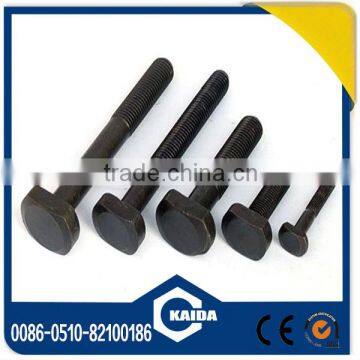 Carbon steel T Bolt DIN261