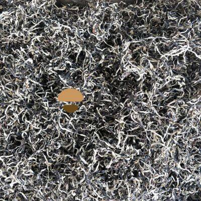 Dehydrated Dried White Back Black Fungus Auricularia Polytricha photo-2