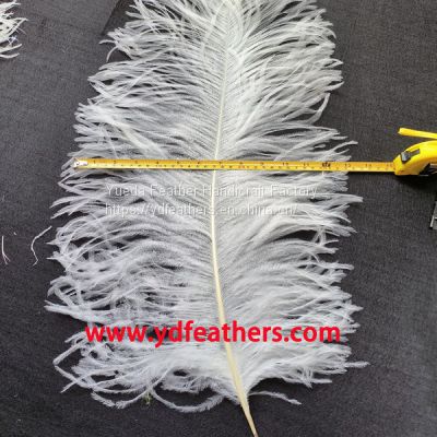 Ostrich Feather From China For Wholesale