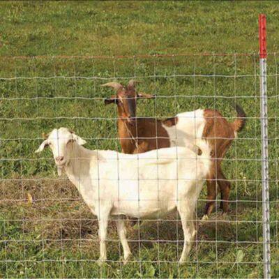 Grassland Fence
