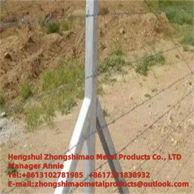 PVC Coated Barbed Wire photo-3