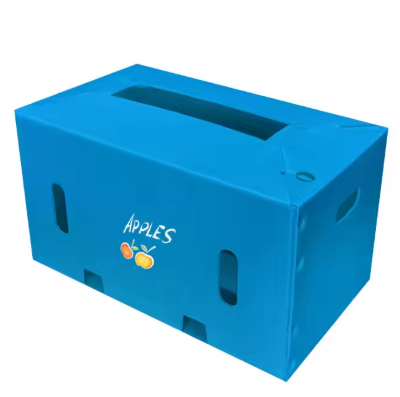 Custom Corrugated PP Plastic Fruit Packaging Box Manufacturer