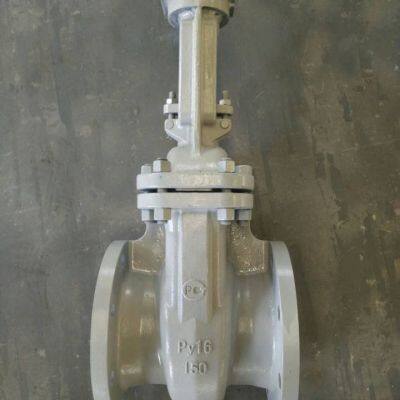 Quality Russian GOST Manual Carbon Steel WCB Cryogenic Valve Single & Double Disc Flanged Flexible Gate Valve Industrial Use photo-5