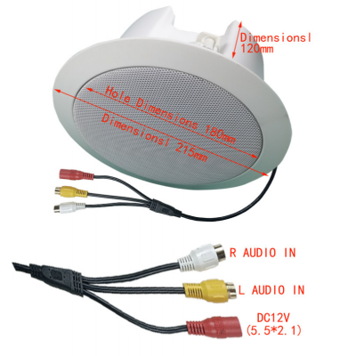 20W Stereo Ceiling Speaker With Built-in Amp 12V DC