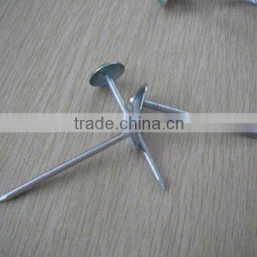 Galvanized Roofing Nails With Umbrella Head/umbrella Head Nails /galvanzied Roofing Nail photo-3