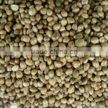 Hemp Seeds For Sale, Birds Feeding Type