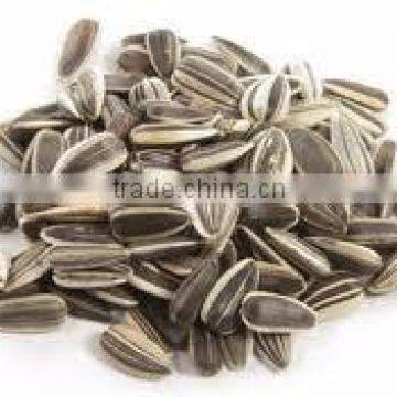 Sunflower Seeds