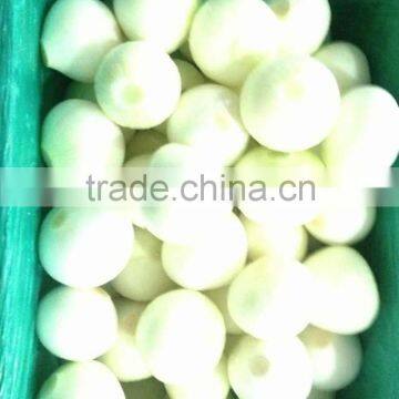 2014 Wholesale Fresh Yellow Onion Export to Dubai