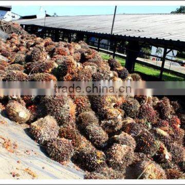 Professional Palm Oil Fractionation Line From Zhengzhou photo-5