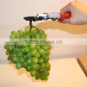 2016 popular grape pruning clamp