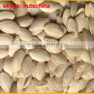 Pumpkin Seeds GWS AAA/AA/A/ Oil Grade photo-6