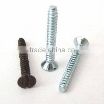 Tapping Screw