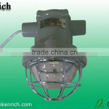 IP 65 LED Explosion Proof Light courtyard light Laneway Light