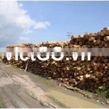 Good Quality Acacia Wood From Viet Nam