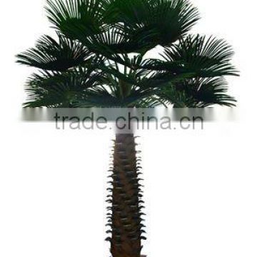 New style Specail Big Palm Tree