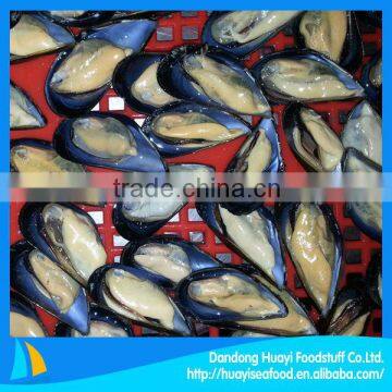 cooked mussel meat with half shell