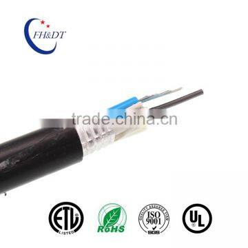 Made in China GYDTA Optical Fiber Cable photo-4