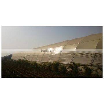 Greenhouse Film